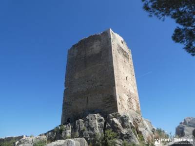 Alto Palancia, Comarca entre Parques Naturales; tejo árbol tipos de mochilas para mujer sierra de ma